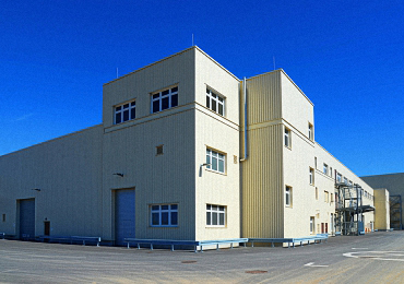 Wellpappe Auerswalde (2) 2024